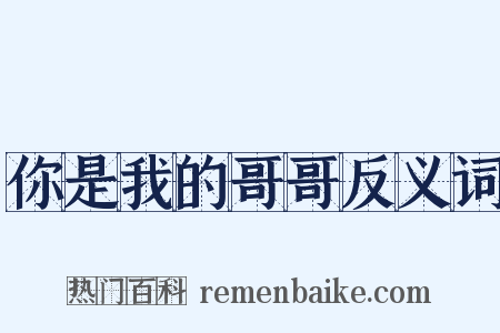 你是我的哥哥反义词是什么意思的图片